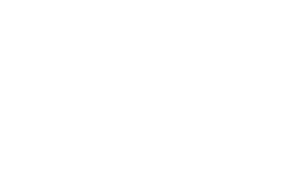 Davide Monitossori white logo
